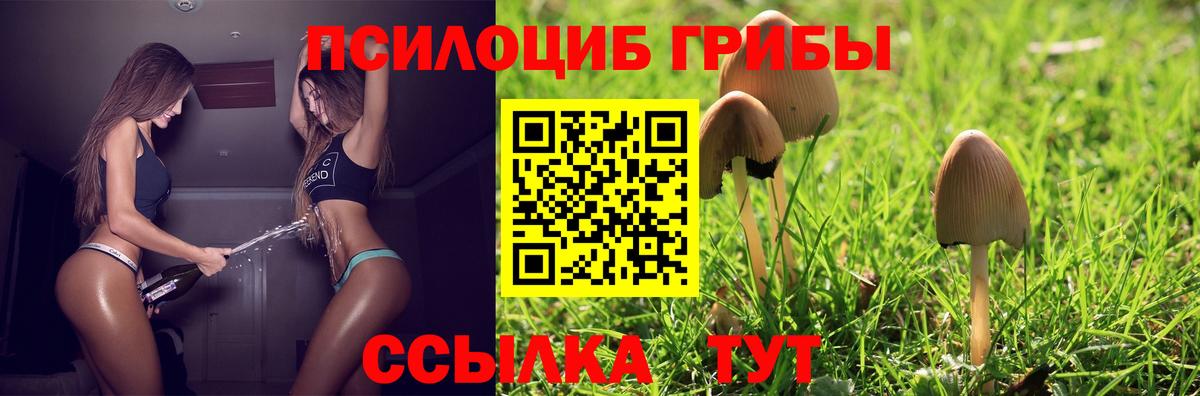 Псилоцибиновые грибы Psilocybine cubensis  наркошоп  Фрязино  Вход с VPN 