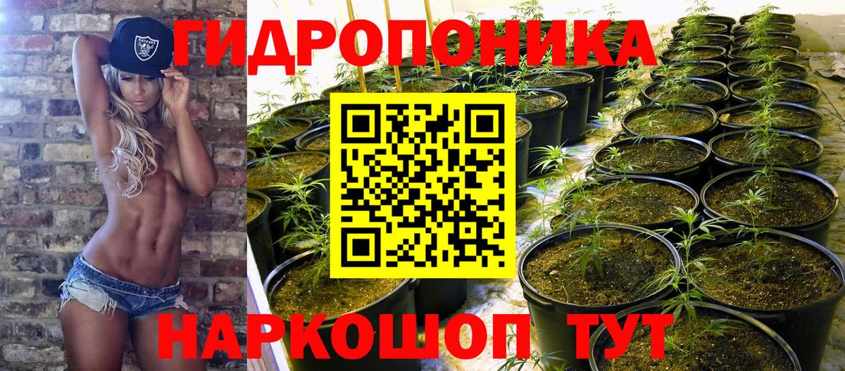 Каннабис THC 21%  Бошки марихуана ГИДРОПОН  Марихуана семена  Вход с VPN  Фрязино 